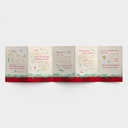 GC: Christmas Boxed True Light (Five Panel) (08/25)