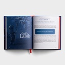 Shepherd On The Search Family Advent Devotional