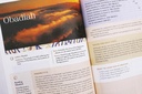 NIV Application Bible H/C Multi-Cream Red Letter (04/25)