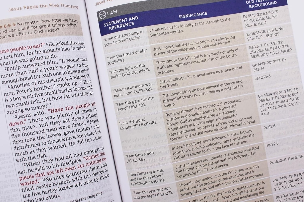 NIV Application Bible, Leathersoft, Brown, (04/25)
