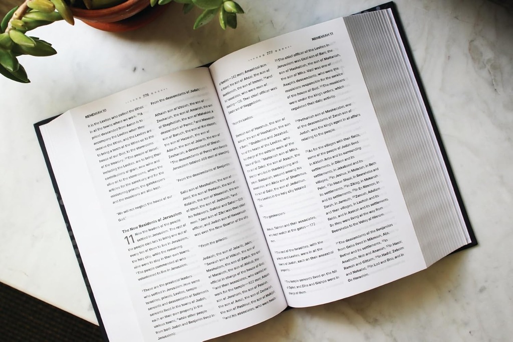 NIV Clear Focus Bible Hardcover Charcoal/Copper (08/25)