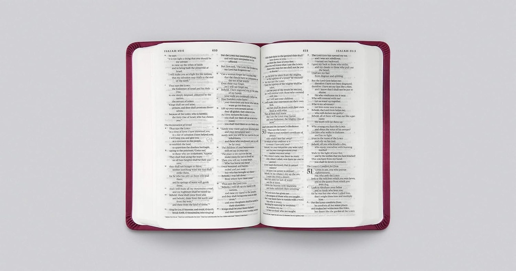 ESV Value Compact Bible Raspberry Floral Design I/L