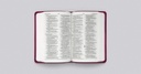 ESV Value Compact Bible Raspberry Floral Design I/L
