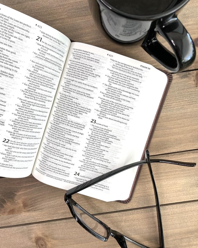 NLT Bible Compact Premium Value Filament Brown Cross