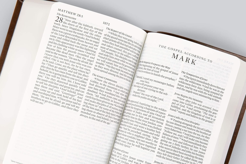 ESV Value Large Print Compact Bible Mahogany TruTone