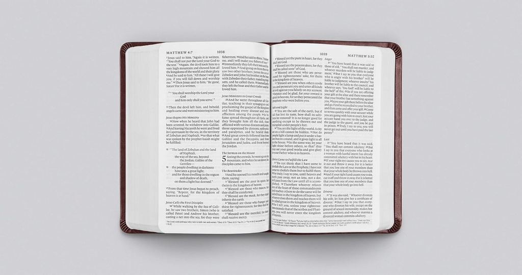 ESV Value Large Print Compact Bible Mahogany TruTone