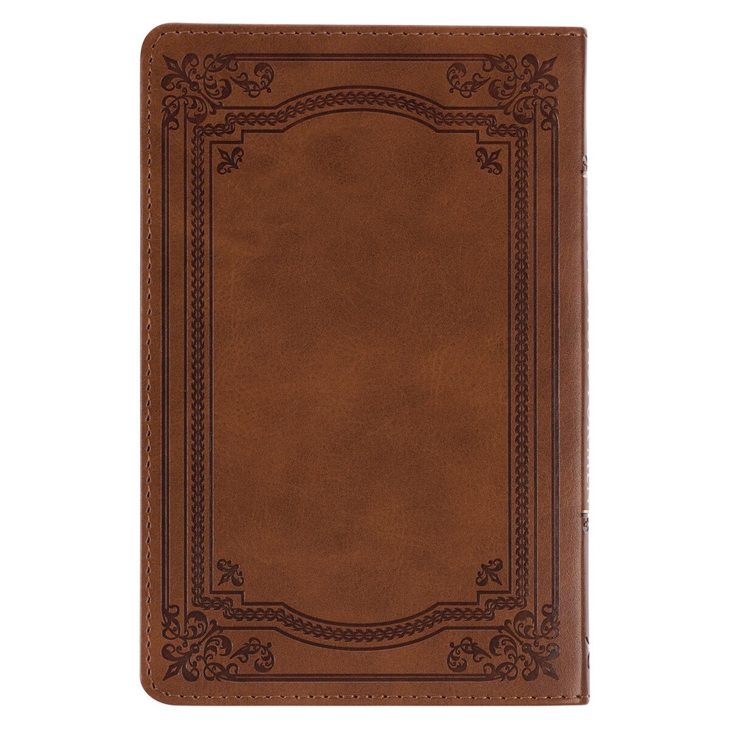 101 Devotions For Men Brown