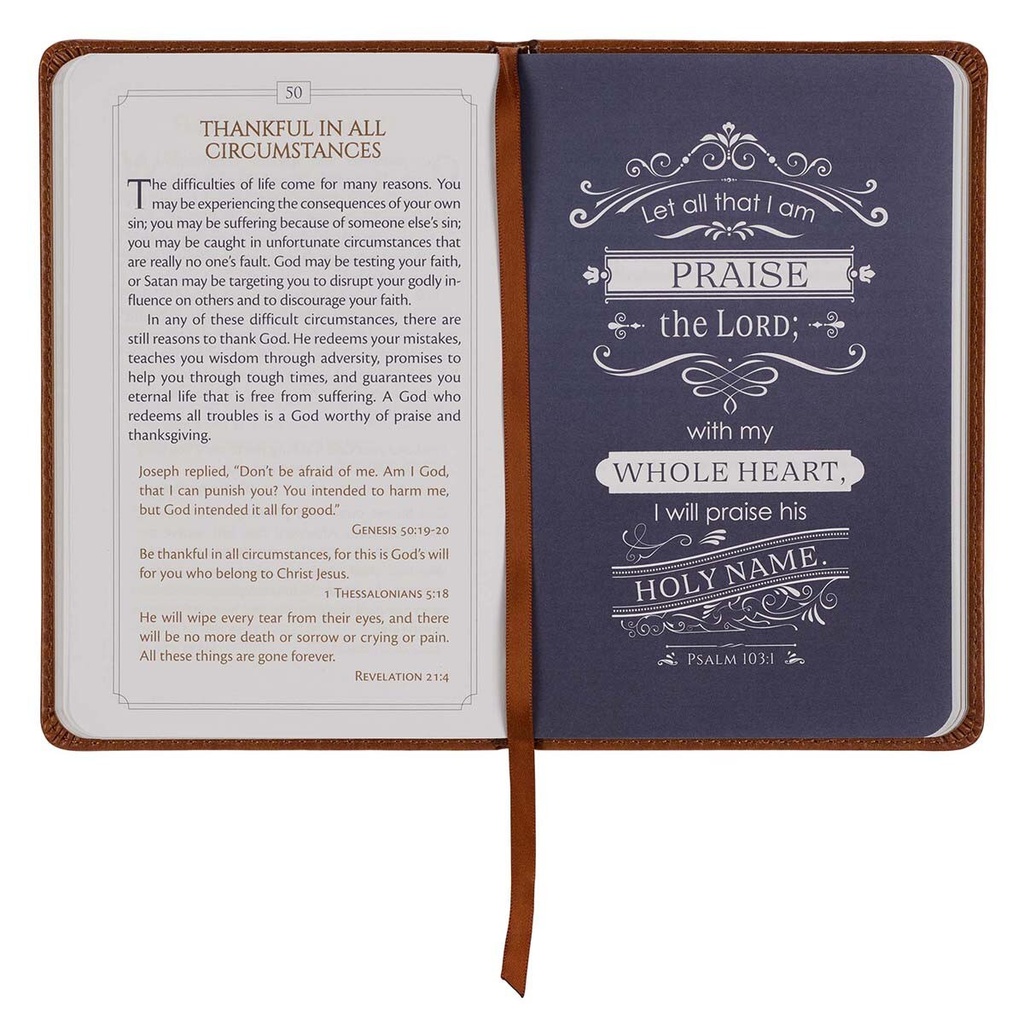 101 Devotions For Men Brown
