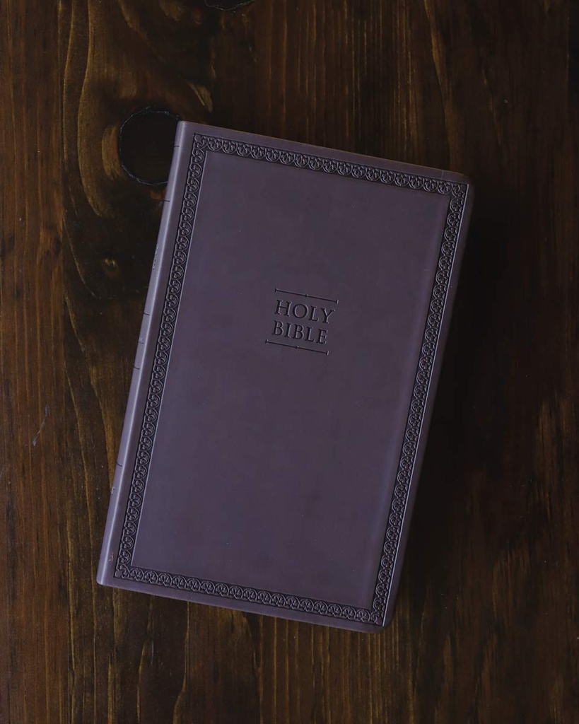 NIV Value Thinline Bible Brown I/L