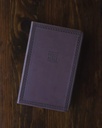 NIV Value Thinline Bible Brown I/L