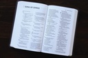 NIV Value Thinline Bible Brown I/L