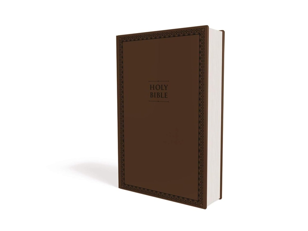 NIV Value Thinline Bible Brown I/L