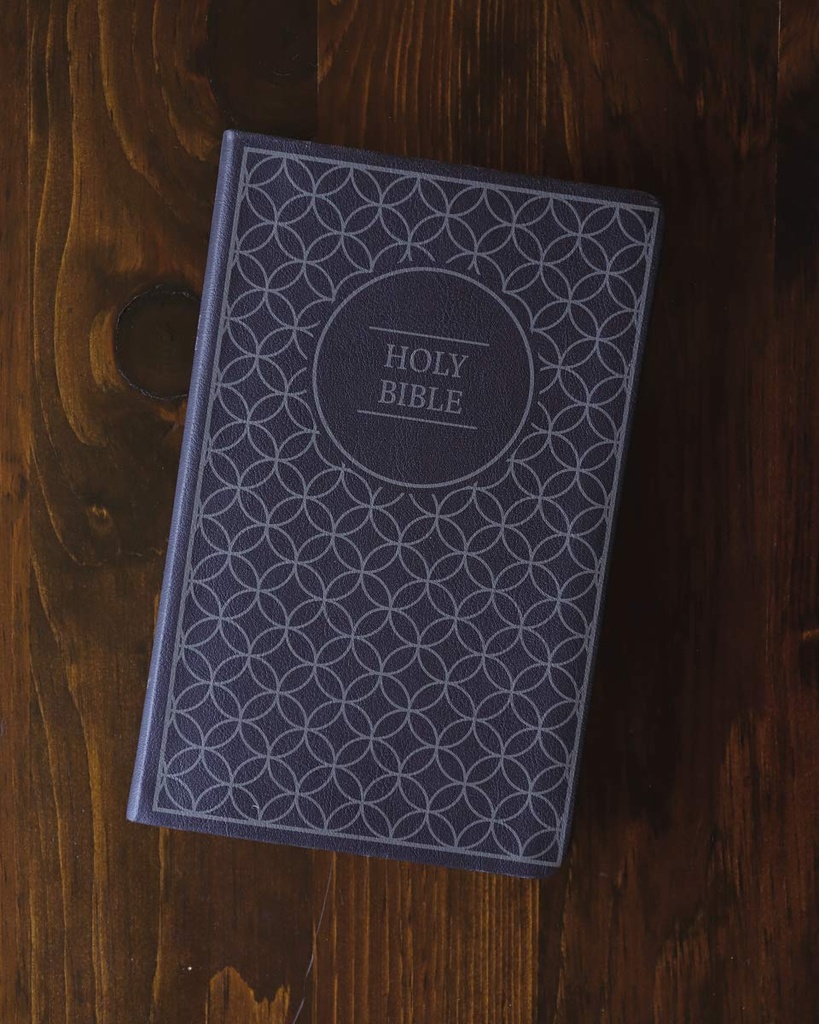 NIV Value Thinline Bible Gray/Black I/L