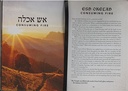 52 Names of God In Hebrew Grey (01/25)