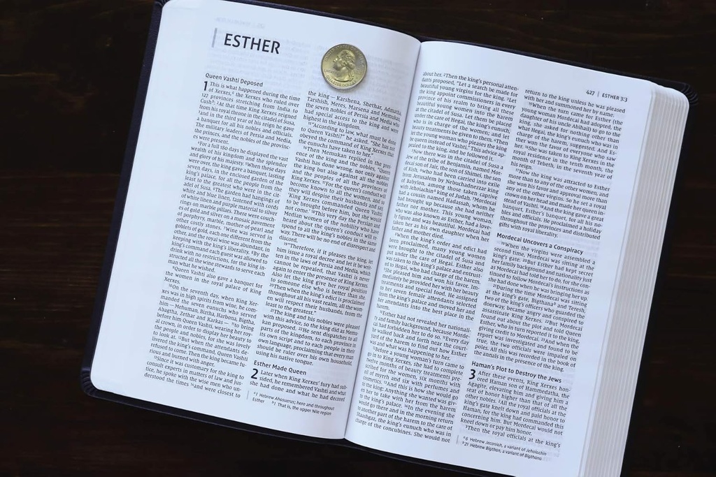 NIV Value Thinline Bible Gray/Black I/L