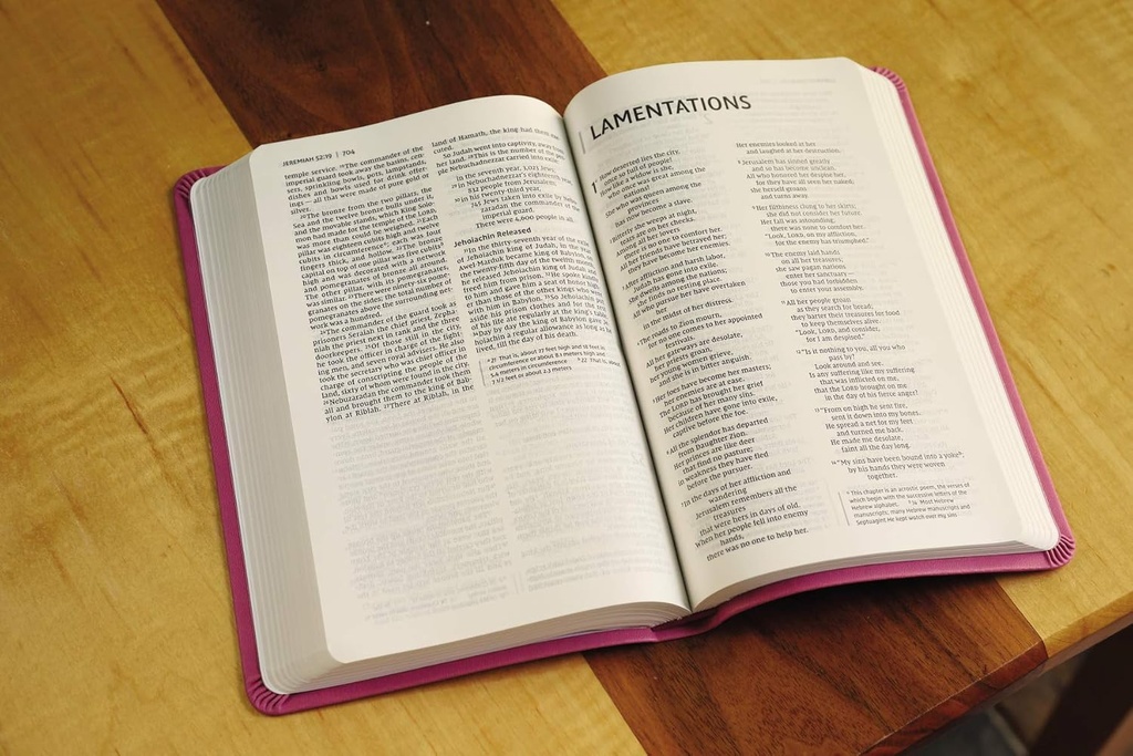 NIV Value Thinline Bible Pink I/L