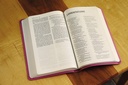 NIV Value Thinline Bible Pink I/L