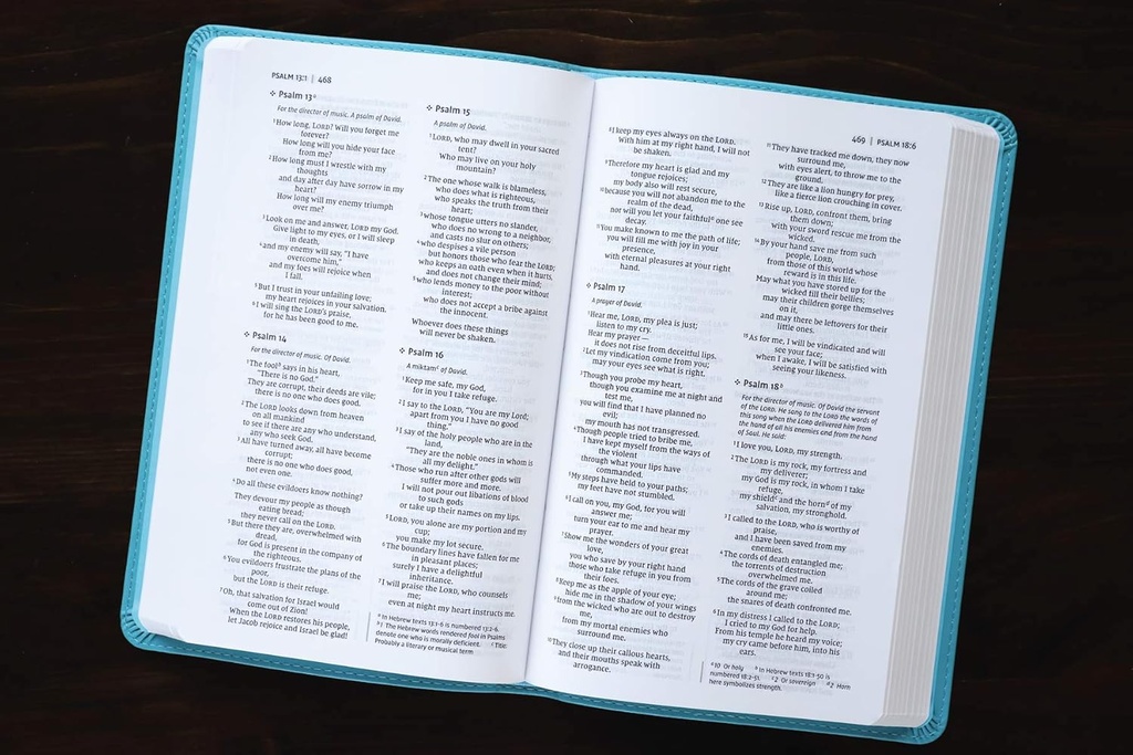 NIV Value Thinline Bible Turquoise I/L