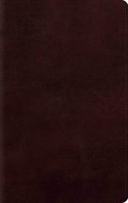 ESV Large Print Personal Size Bible TruTone Mahogany