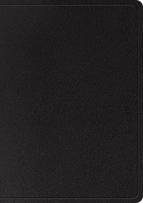 ESV Large Print Wide Margin Bible Black Genuine Leather