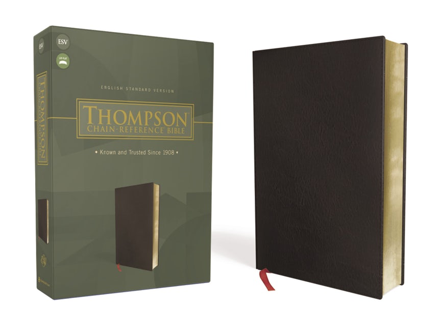 ESV Thompson Chain-Reference Bible Black B/L