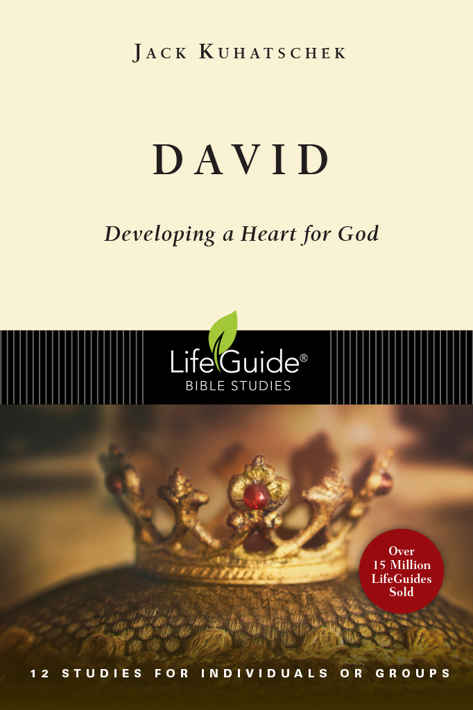 David: LifeGuide