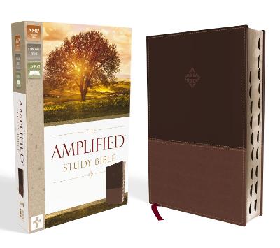 Amplified Study Bible Indexed Brown I/L