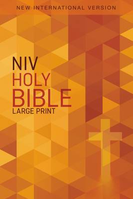 NIV Outreach Bible Large Print Orange Paperback