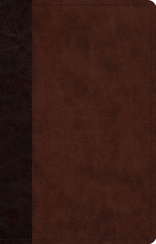 ESV Large Print Thinline Reference Bible Brown I/L