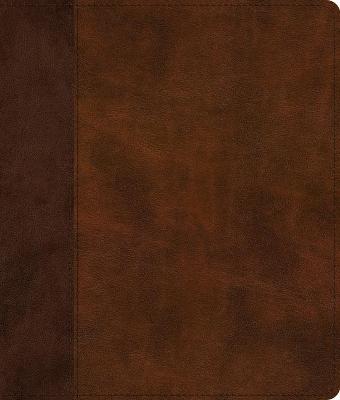 ESV Journaling Bible Trutone Brown/Tan I/L