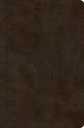 ESV Value Compact Bible Olive Celtic Crs