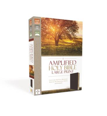 Amplified Bible Large Print Burgundy B/L