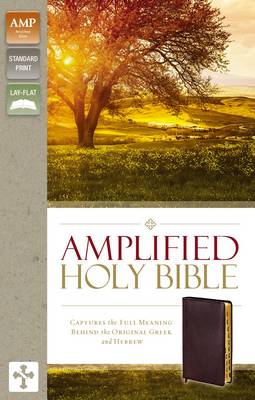 Amplified Holy Bible Indexed Burgundy B/L