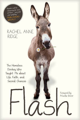 Flash: The Homeless Donkey Who Taught Me about Life, Faith