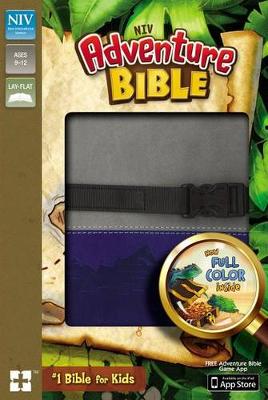 NIV Adventure Bible Gray Blue Clip Closure Duo-Tone