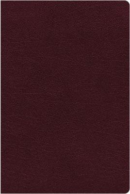 NIV Reference Bible Giant Print Burgundy Indexed B/L