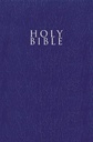 NIV Gift and Award Bible Blue Leather-Look