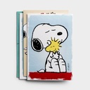 GC: Boxed All Occasion Peanuts