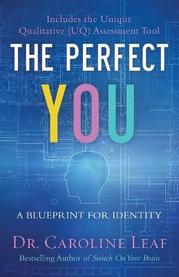 Perfect You: A Blueprint For Identity