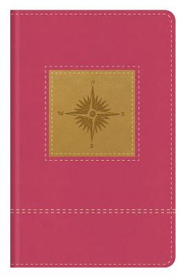 KJV Go-Anywhere Study Bible Primrose Compass Indexed I/L