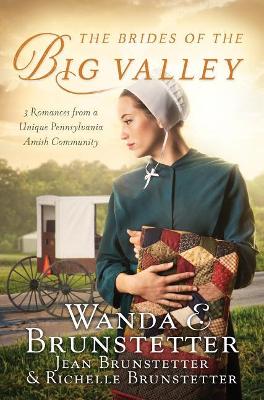 Brides of the Big Valley 3-in-1