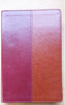 NLT Bible Tan and Burgundy Flexitone