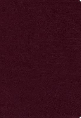 NASB Thinline Bible Large Print 1995 Text Burg B/L