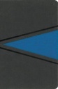 NIV Boys Bible Gray/Blue Imitation Leather