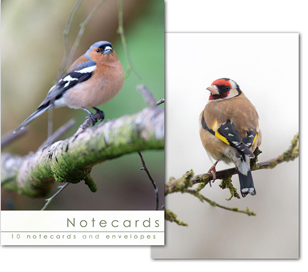 Notecards: Chaffinch and Goldfinch