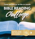 Bible Reading Challenge NT Adults (single)