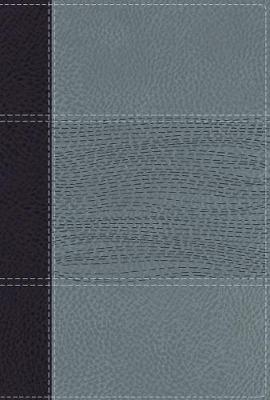 NIV Study Bible Fully Rev Ed Personal Size Navy/Blue
