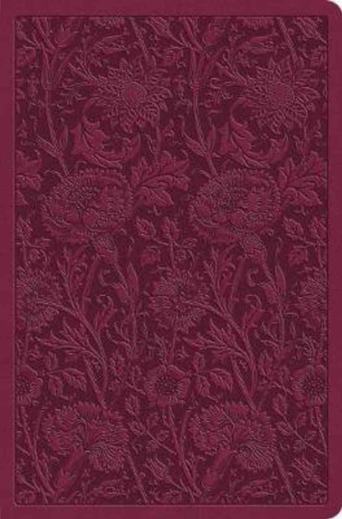 ESV Value Compact Bible Raspberry Floral Design I/L