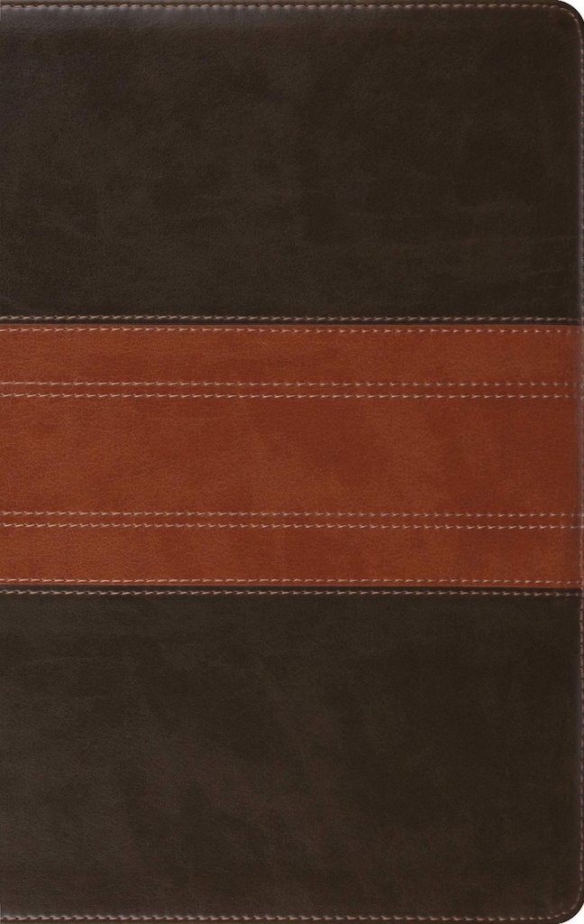 ESV Large Print Personal Size Bible Forest/Tan I/L