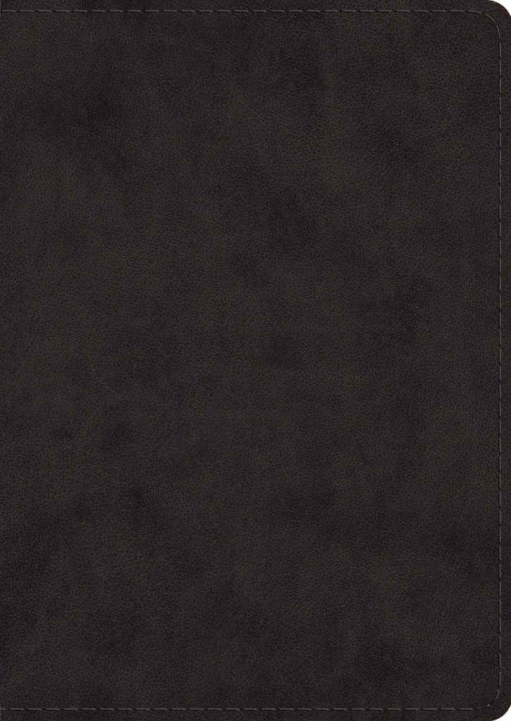 ESV Study Bible Large Print Black I/L